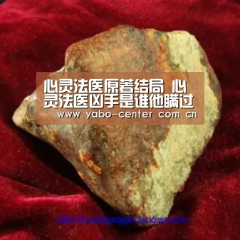 心灵法医原著结局 心灵法医凶手是谁他瞒过了所有人【亚博】(图2) 亚博